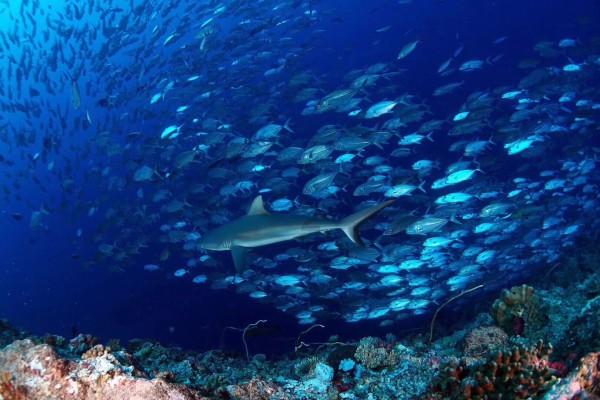 湖南祁阳在“三重一线”选良驹 重要工作实时督 优秀干部优先用